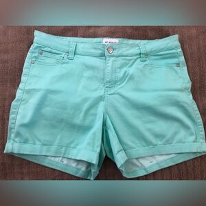 Celebrity Pink Mint Green Shorts, Size 16